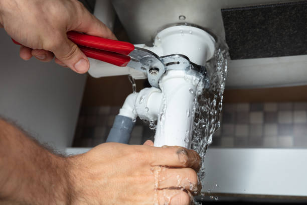 Best Basement water damage restoration  in Cherryvale, KS