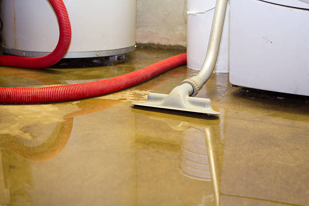 Best Carpet water damage restoration  in Cherryvale, KS